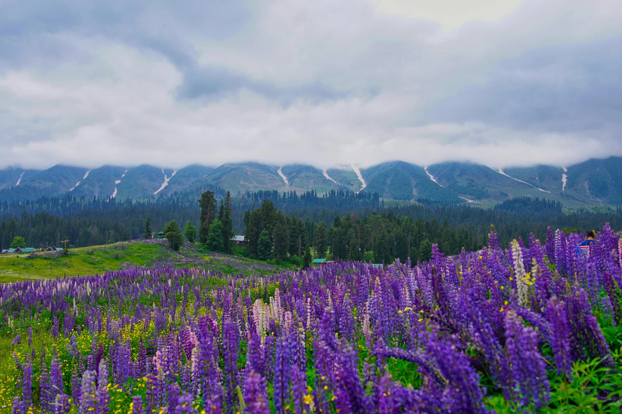 When is the Best Time to Visit Kashmir?