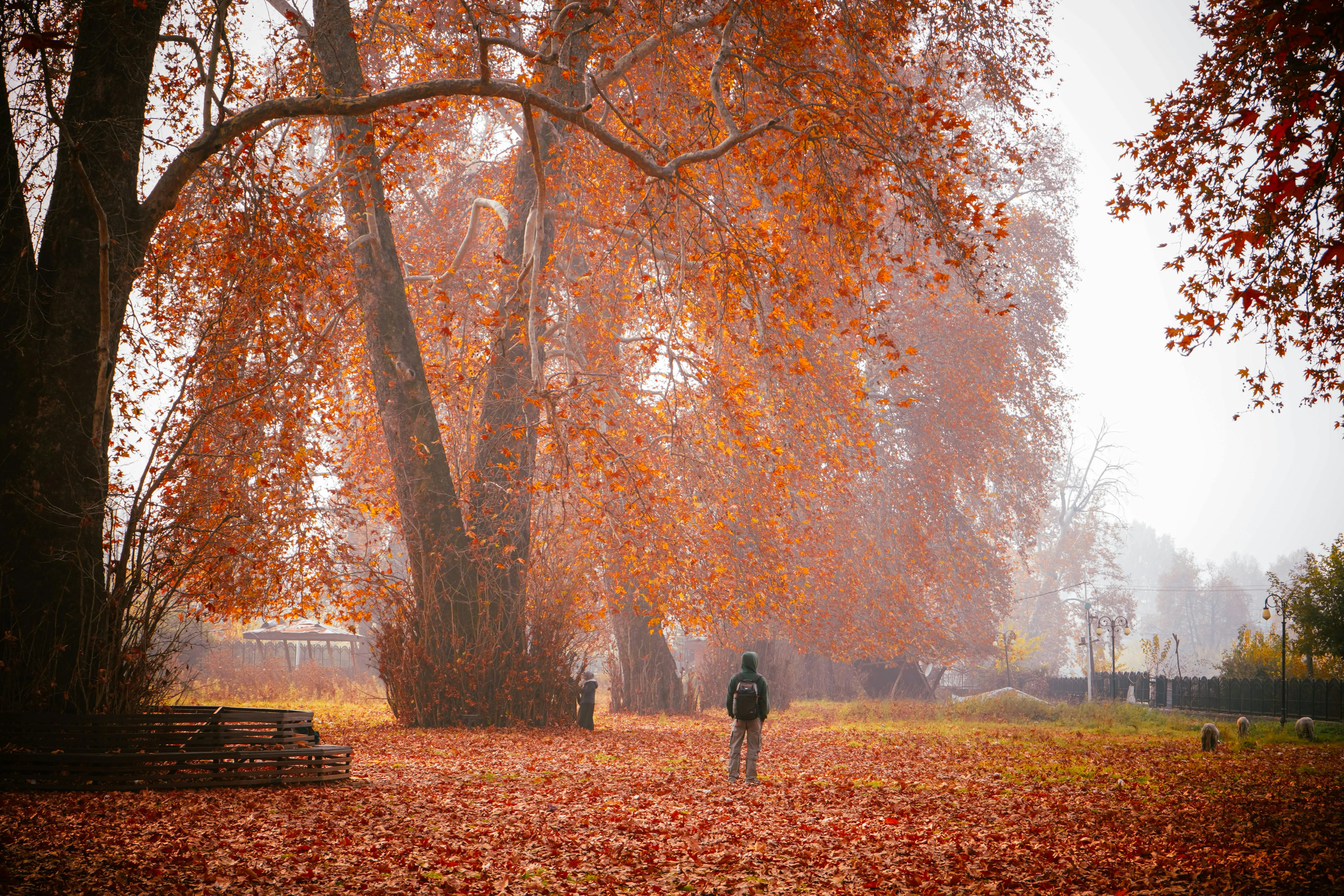 Autumn in Kashmir