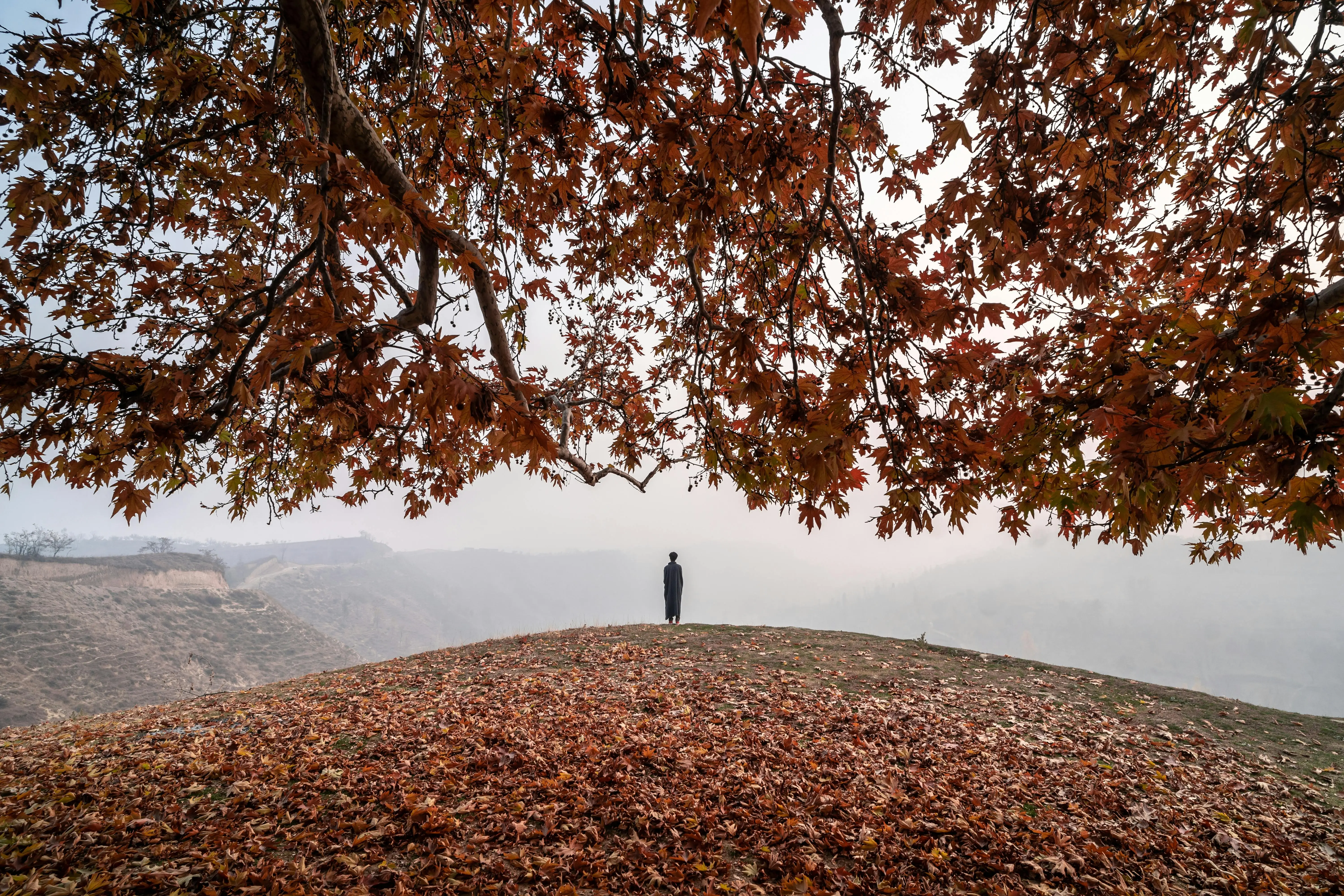 Autumn in Kashmir